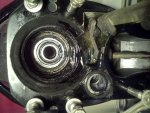 IMG-20121002-00784.jpg