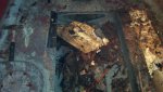 floorrot1.jpg