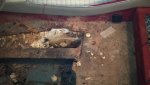 floorrot3.jpg