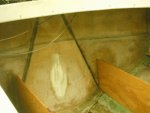 boat8.jpg