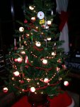 Tree 2012 Lit.jpg