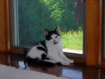 DSCN3574.JPG