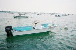 whaler in water.jpg