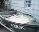 Boat_pics003.jpg