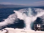 IMG_20120904_133136.jpg