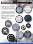 Multi Gauges.jpg