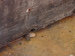 DSC00023.jpg
