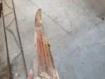 transom.JPG