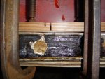 DSC02090.JPG