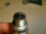 S7301659 (Small).JPG