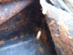 th_100_0197.jpg