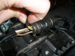 Black-Yellow wire.jpg