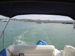 DSC00417.jpg