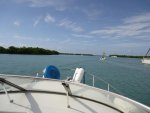 DSC00418.jpg