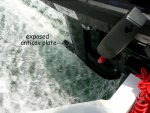 Exposed AV Plate.JPG