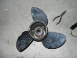 2012-11-11_057_1024.jpg