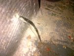 IMG-20130622-00190.jpg