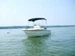 Fish n Fun 009.jpg