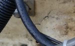 transom3.jpg