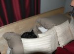 I am so tired-sm 010.JPG