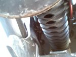 cobra exhaust.jpg