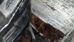 IMG_20130724_201639_884.jpg