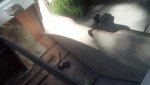2013-07-27_16-20-12_907.jpg