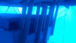 2013-08-17_17-29-49_266.jpg