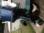 evinrude225a.jpg
