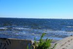 DSC_7772.jpg