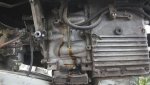 my evinrude 4.jpg