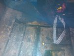 IMG_20130929_192549.jpg