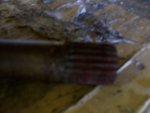 100_1493b.jpg