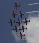 Snow Birds.jpg