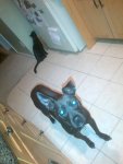 IMG-20131026-00103.jpg