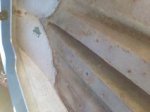 boat pic 6.jpg