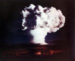 ivymike2-1.jpg