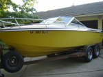 Boat Photos Wellcraft 002 (600 x 450).jpg