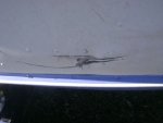 DSC00396.jpg