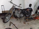 dres picks2008 007.jpg