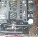 bilge-before-purchase-2.jpg