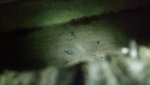 underfloor_1.jpg