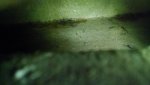 underfloor_2.jpg