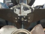 bottomview.jpg