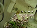 MVC-215S.JPG