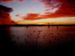 morning on the bayou.jpg