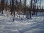 Xmas Snow.jpg