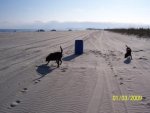 5. Beach Work.jpg
