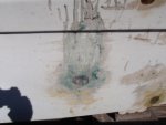 boat project 011.jpg