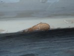 boat project 019.jpg